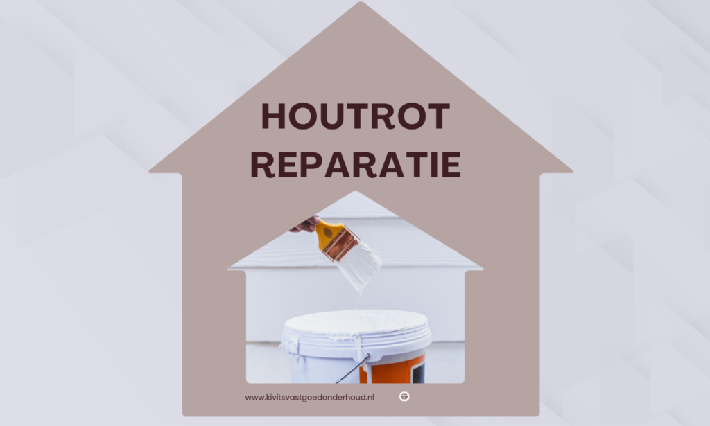houtrot reparatie